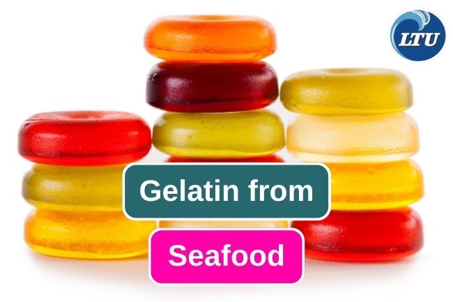 What Are Seafood Gelatin and Its Uses